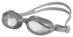 Sprint Goggles Clear/Silver